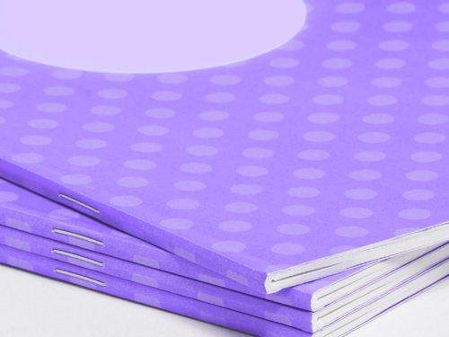 Brochures agrafées à dos carré