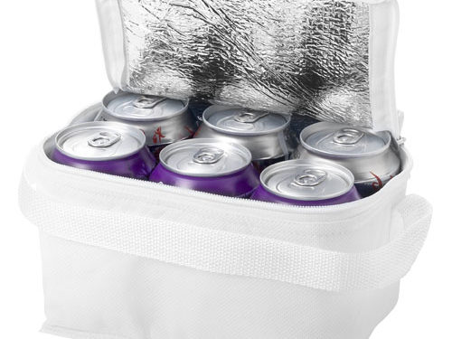 Sac isotherme 6 canettes Spectrum 4L