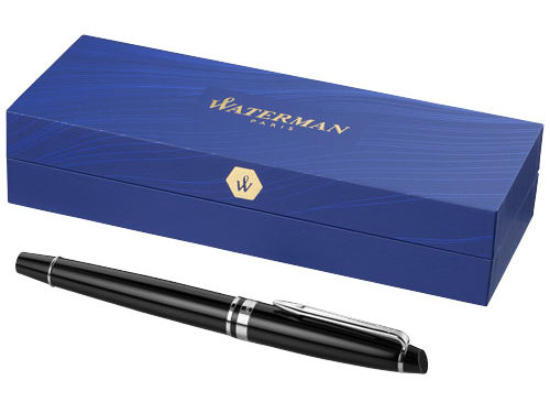 Stylo plume Expert (encre bleue)
