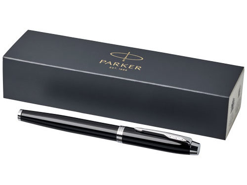 Stylo plume IM Parker (encre bleue)