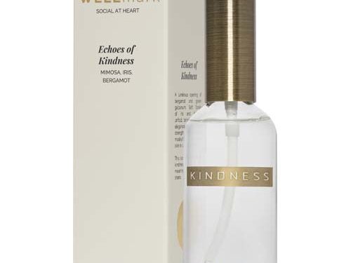 Spray d’ambiance 100 ml Wellmark