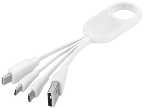 Câble USB multi ports type C 4 en 1 Troup