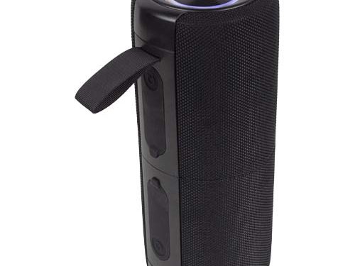 Haut-parleur 40 W Prixton Aloha Max